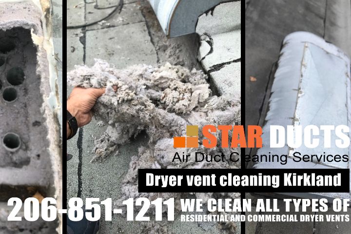 Dryer Vent Cleaning On Roofs Service Near Me in Seattle 6